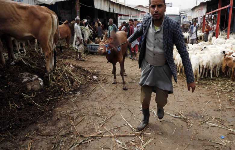 مشروع للبنك الدولي بقيمة 100 مليون دولار لدعم الألبان في اليمن