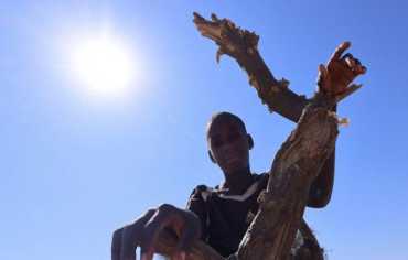 السودان على حافة التحوّل… هل تفتح المبادرة السعودية باب السلام؟