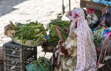 "جرامين يمن"... بارقة أمل لمكافحة الفقر