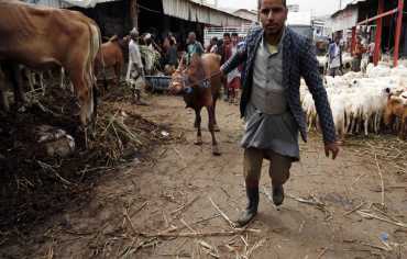 مشروع للبنك الدولي بقيمة 100 مليون دولار لدعم الألبان في اليمن